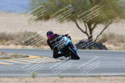 media/May-12-2024-SoCal Trackdays (Sun) [[ad755dc1f9]]/10-Turn 4 Tree of Life (1120am)/